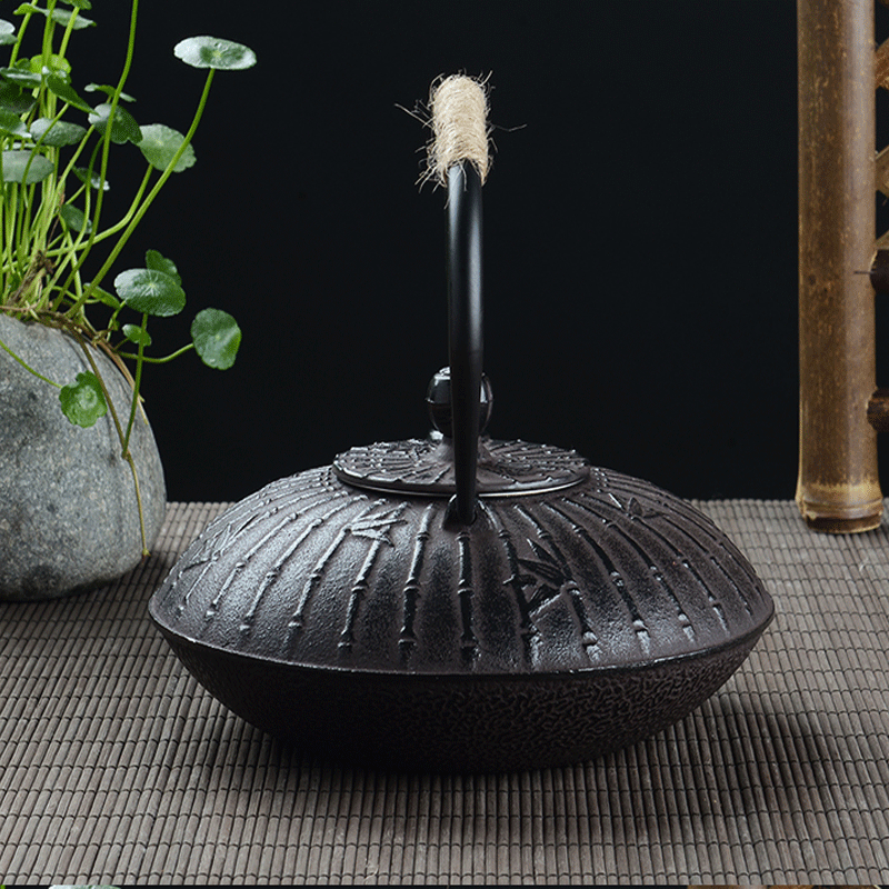 กาน้ำชาเหล็กหล่อแบบญี่ปุ่น Tet - Cast Iron Tetsubin บทวิจารณ์และราคา